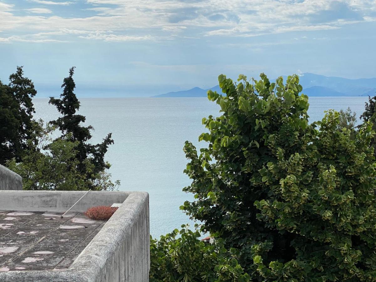 Irini Seaside Apartment Palaiontsiflikion Exterior foto